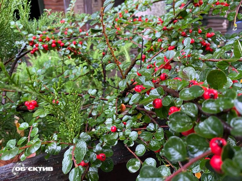 Останні новини Харкова на 8 жовтня: електрика відновлена, адміністратора телеграм-каналу затримано.