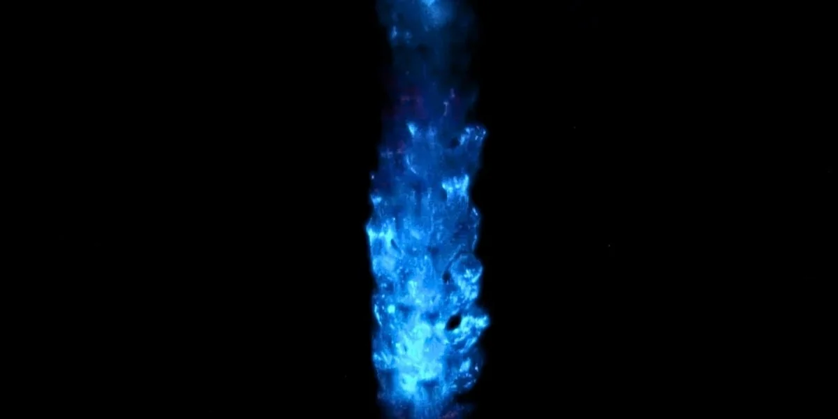 Раніше, ніж це було прийнято вважати, біолюмінесценція на нашій планеті виникла понад 500 мільйонів років тому.