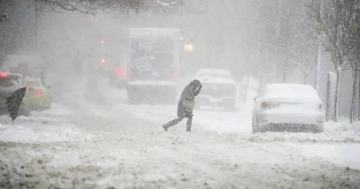 Екстрені дії у Львівській області: регіон переходить на дистанційне навчання через погіршення погодних умов.