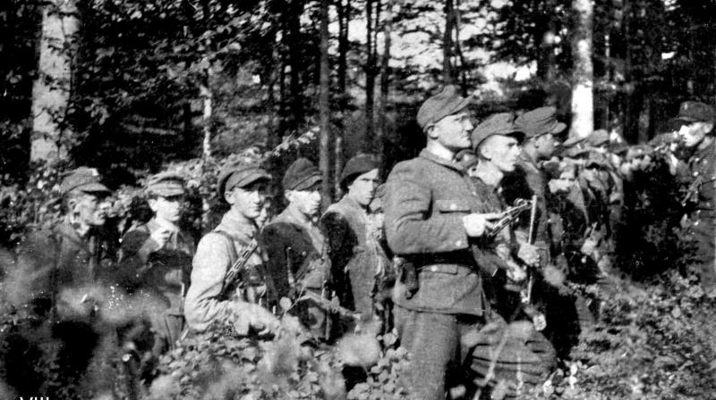 6 цікавих фактів про УПА, які можуть бути вам невідомі: як існували та боролися повстанці - Українська газета Час.