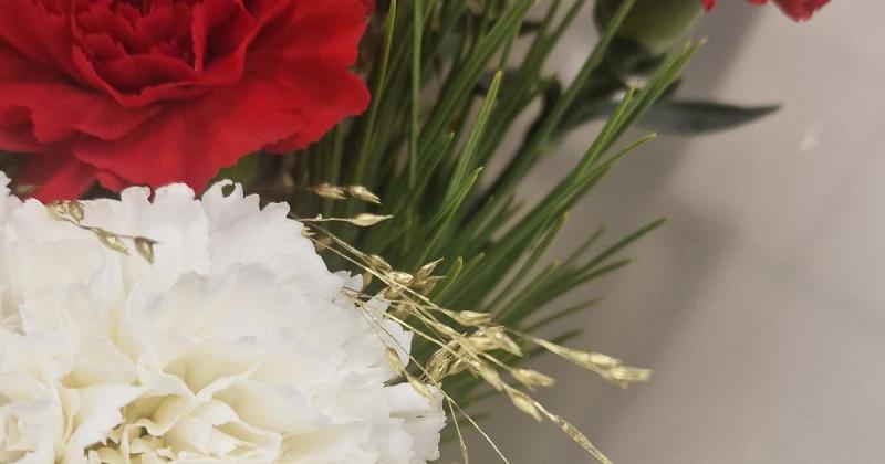 Як функціонуватимуть торгові точки, фінансові установи та транспортна система в Словаччині 17 листопада - noviny.sme.sk