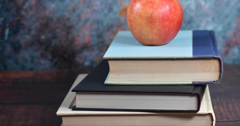 Вчителька втратила роботу через знімок та нове хобі.