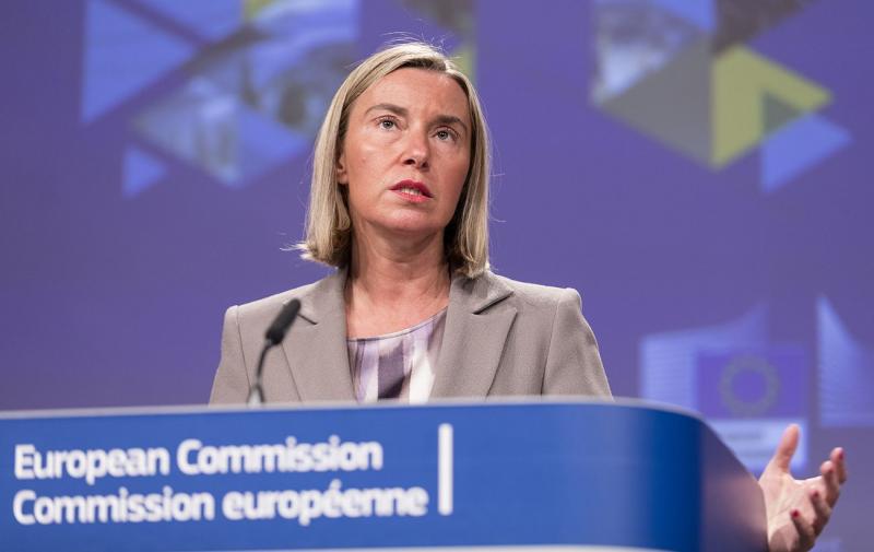 Експертка з міжнародних відносин, яка раніше обіймала високі посади в Європейському Союзі, вирішила піти у відставку після того, як її звинуватили у шахрайських діях.