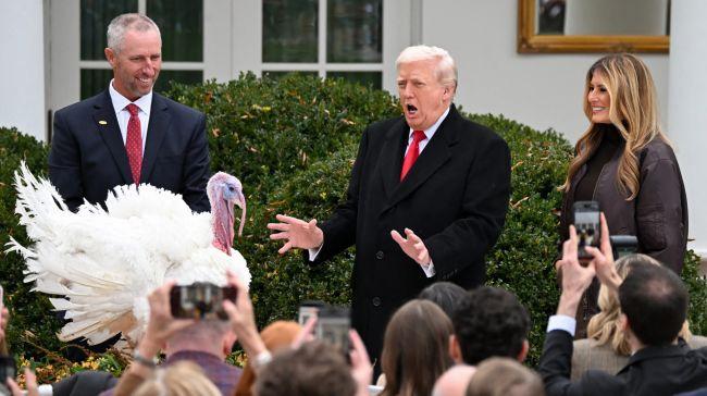 Економіка святкування Різдва: як зростання цін на індиків виявило інфляційні труднощі Дональда Трампа - Новини Весь Харків