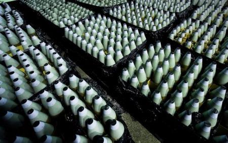 Чи варто продовжувати 