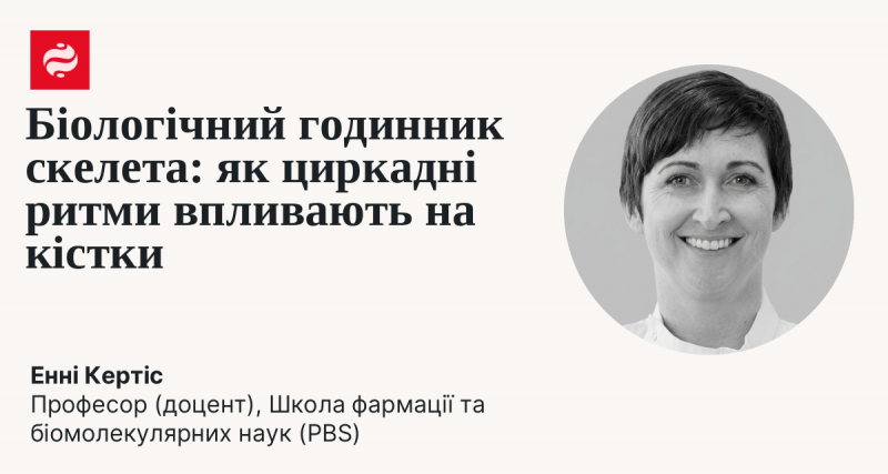 Біологічні ритми скелета: вплив циркадних циклів на здоров'я кісток