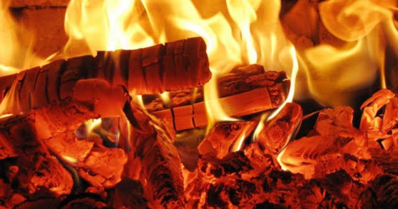 Найефективніші види дров для обігріву: яку породу деревини вибрати для печі, каміна та котла -- online.ua