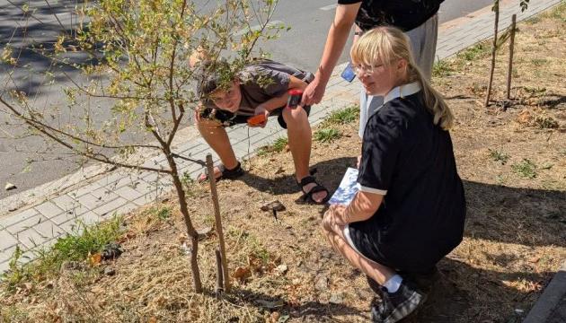 Як учні Миколаєва реалізують екологічний експеримент.